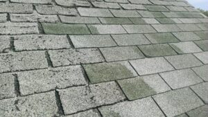 How Long Does a Roof Last in Winnipeg? When to Replace Your Aging Roof