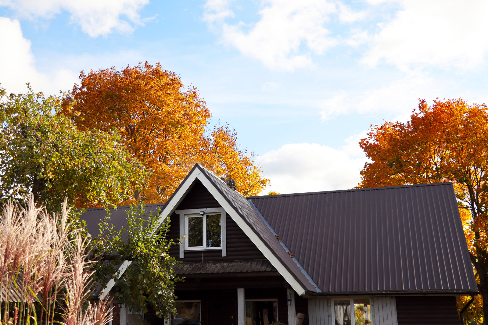 A house with a dark brown roof and white trim surrounded by trees in full autumn colors.