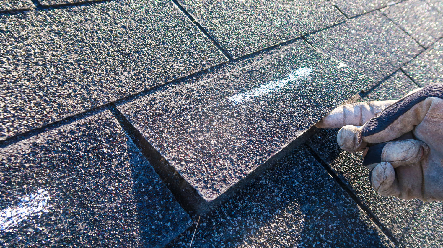 Loose shingle identified during roof inspection.